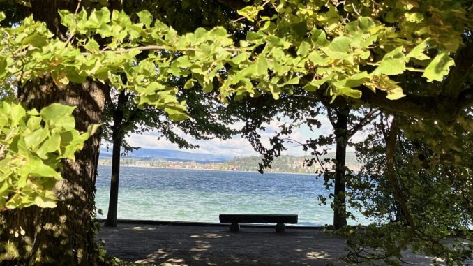 Mainau-Entspannungsidylle-1600