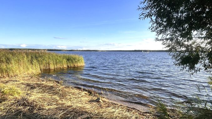 K-Senftenberger-See_1600